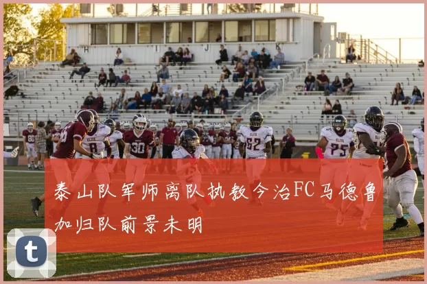 泰山队军师离队执教今治FC马德鲁加归队前景未明